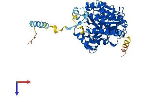 AlphaFold protein structure predicition of Human Recombinant GCNT4 Protein, UniprotID Q9P109