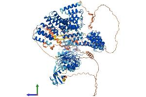 AlphaFold protein structure predicition of Human Recombinant TONSL Protein, UniprotID Q96HA7