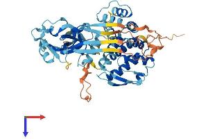 AlphaFold protein structure predicition of Mouse Recombinant Gsdmc2 Protein, UniprotID Q2KHK6