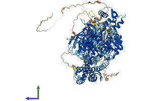 AlphaFold protein structure predicition of Mouse Recombinant Plcl1 Protein, UniprotID Q3USB7