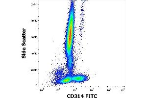 Flow cytometry surface staining pattern of human peripheral whole blood stained using anti-human CD314 (1D11) FITC antibody (4 μL reagent / 100 μL of peripheral whole blood).
