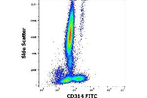 Flow cytometry surface staining pattern of human peripheral whole blood stained using anti-human CD314 (1D11) FITC antibody (4 μL reagent / 100 μL of peripheral whole blood). (KLRK1 anticorps  (FITC))