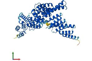 AlphaFold protein structure predicition of Human Recombinant IFIT1B Protein, UniprotID Q5T764