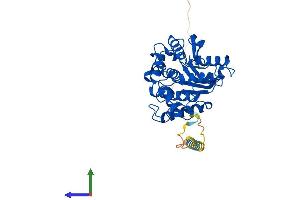 AlphaFold protein structure predicition of Human Recombinant QPCTL Protein, UniprotID Q9NXS2