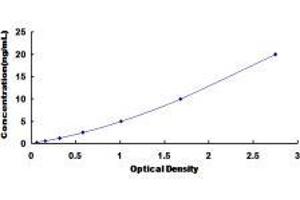 Cytochrome C Oxidase Subunit 3 (COX-3) ELISA Kit