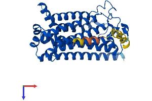AlphaFold protein structure predicition of Human Recombinant PAQR8 Protein, UniprotID Q8TEZ7