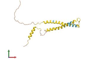 AlphaFold protein structure predicition of Human Recombinant OCIAD2 Protein, UniprotID Q56VL3