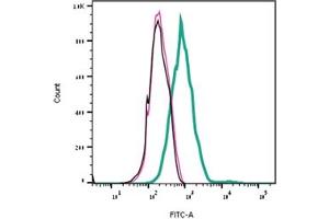 Direct flow cytometry of Tertiapin-Q in live intact rat  cells. (Tertiapin Q peptide (Atto 488))