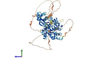 AlphaFold protein structure predicition of Mouse Recombinant Tnk1 Protein, UniprotID Q99ML2