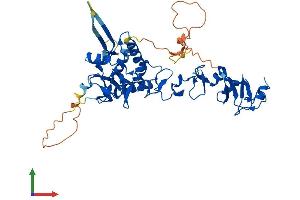 AlphaFold protein structure predicition of Mouse Recombinant Tes Protein, UniprotID P47226