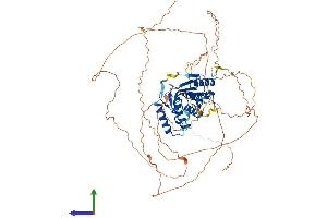 AlphaFold protein structure predicition of Mouse Recombinant Carf Protein, UniprotID Q8VHI4