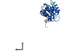 AlphaFold protein structure predicition of Human Recombinant APIP Protein, UniprotID Q96GX9