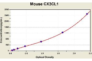 Diagramm of the ELISA kit to detect Mouse CX3CL1with the optical density on the x-axis and the concentration on the y-axis. (CX3CL1 Kit ELISA)
