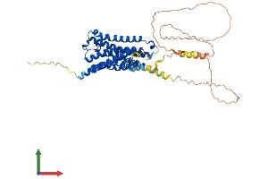 AlphaFold protein structure predicition of Mouse Recombinant Chrm2 Protein, UniprotID Q9ERZ4