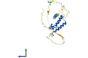 AlphaFold protein structure predicition of Mouse Recombinant Slbp Protein, UniprotID P97440