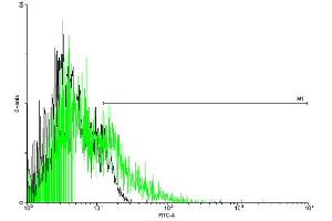 FACS analysis of negative control 293 cells (Black) and ADRB3 expressing 293 cells (Green) using ADRB3 purified MaxPab mouse polyclonal antibody.