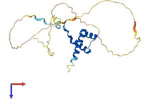 AlphaFold protein structure predicition of Human Recombinant HOXC5 Protein, UniprotID Q00444