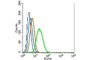 RSC96 probed with Mfn1 Polyclonal Antibody, Unconjugated  at 1:100 for 30 minutes followed by incubation with a conjugated secondary (PE Conjugated) (green) for 30 minutes compared to control cells (blue), secondary only (light blue) and isotype control (orange). (MFN1 anticorps  (AA 651-741))