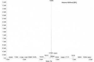 Mass Spectrometry (MS) image for Histone H3 (H3) (H3K9me3) protein (ABIN2669567)