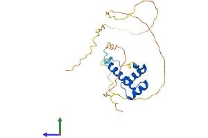 AlphaFold protein structure predicition of Human Recombinant HOXB7 Protein, UniprotID P09629