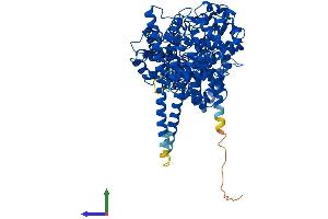 AlphaFold protein structure predicition of Human Recombinant NCBP1 Protein, UniprotID Q09161