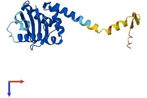 AlphaFold protein structure predicition of Mouse Recombinant Ap3s1 Protein, UniprotID Q9DCR2