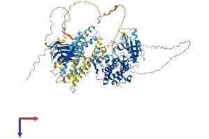 AlphaFold protein structure predicition of Mouse Recombinant Pkn2 Protein, UniprotID Q8BWW9