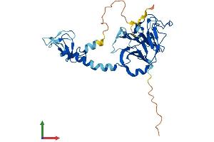 AlphaFold protein structure predicition of Human Recombinant RFPL3 Protein, UniprotID O75679