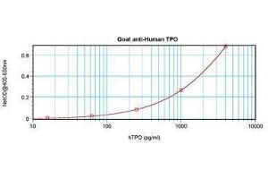 Image no. 3 for anti-Thrombopoietin (THPO) antibody (ABIN465842) (Thrombopoietin anticorps)