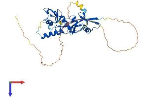 AlphaFold protein structure predicition of Human Recombinant BMI1 Protein, UniprotID P35226