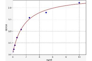Typical standard curve (Metabotropic Glutamate Receptor 5 Kit ELISA)