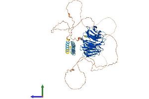 AlphaFold protein structure predicition of Human Recombinant NEDD1 Protein, UniprotID Q8NHV4