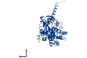 AlphaFold protein structure predicition of Human Recombinant FKTN Protein, UniprotID O75072