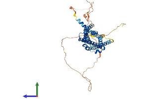 AlphaFold protein structure predicition of Human Recombinant GPR152 Protein, UniprotID Q8TDT2