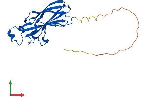 AlphaFold protein structure predicition of Human Recombinant ASF1B Protein, UniprotID Q9NVP2