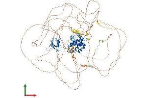 AlphaFold protein structure predicition of Mouse Recombinant Topors Protein, UniprotID Q80Z37