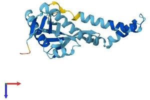 AlphaFold protein structure predicition of Human Recombinant NAT14 Protein, UniprotID Q8WUY8