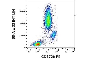 Flow cytometry analysis (surface staining) of human peripheral blood cells with anti-human CD172b (B4B6) PE. (CD172b / SIRP beta anticorps (PE))