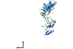 AlphaFold protein structure predicition of Mouse Recombinant Rplp0 Protein, UniprotID P14869