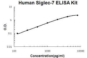 Human Siglec-7/CD328 PicoKine ELISA Kit standard curve