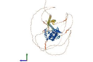 AlphaFold protein structure predicition of Human Recombinant MYLK3 Protein, UniprotID Q32MK0