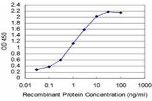 Detection limit for recombinant GST tagged T is approximately 0. (T Brachyury Protein (AA 222-320) anticorps)
