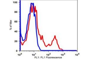 Image no. 2 for anti-CD8 (CD8) antibody (ABIN2704337)