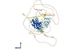 AlphaFold protein structure predicition of Mouse Recombinant Dclk3 Protein, UniprotID Q8BWQ5