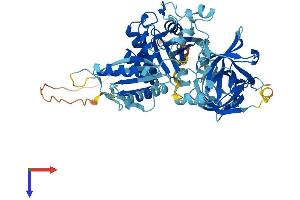 AlphaFold protein structure predicition of Mouse Recombinant Gtpbp2 Protein, UniprotID Q3UJK4