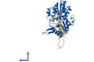 AlphaFold protein structure predicition of Human Recombinant PRPSAP2 Protein, UniprotID O60256