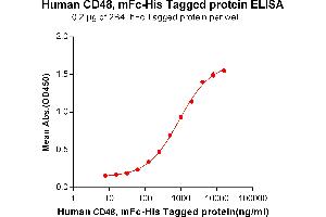 ELISA plate pre-coated by 2 μg/mL (100 μL/well) Human CD48, mFc-His tagged protein (ABIN6961089) can bind Human 2B4, hFc tagged protein (ABIN6961162) in a linear range of 62. (CD48 Protein (CD48) (mFc-His Tag))