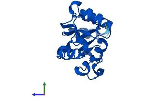AlphaFold protein structure predicition of Human Recombinant NME2 Protein, UniprotID P22392