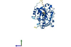 AlphaFold protein structure predicition of Mouse Recombinant St3gal4 Protein, UniprotID Q91Y74