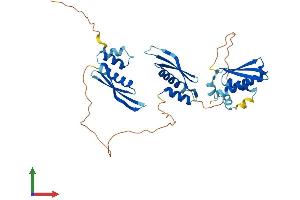 AlphaFold protein structure predicition of Mouse Recombinant Tarbp2 Protein, UniprotID P97473